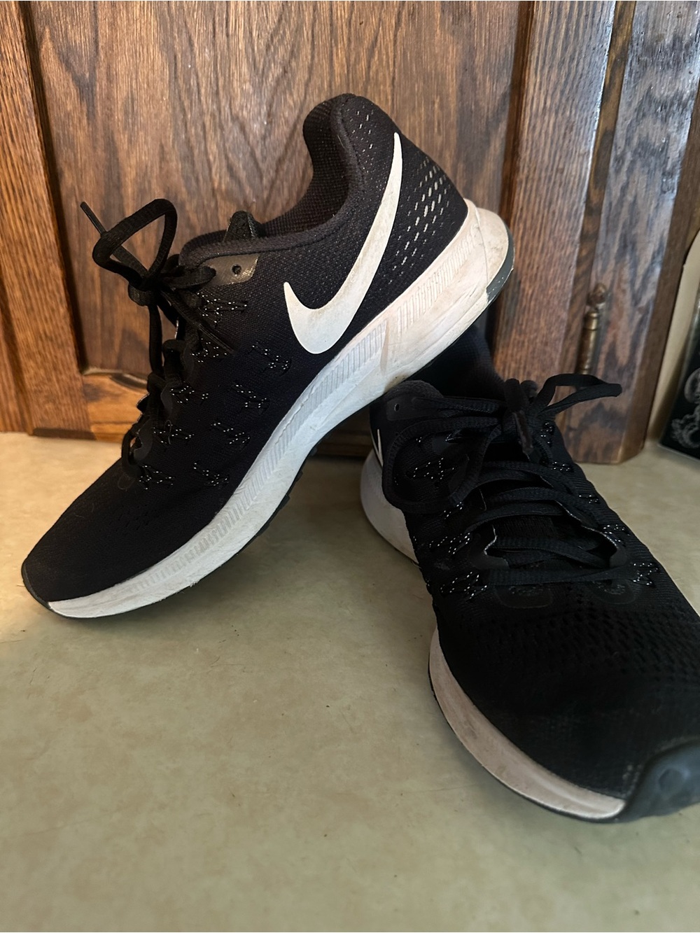 Women’s Nike Zoom Pegasus 33